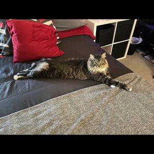 Meet your Posher, Vanessa